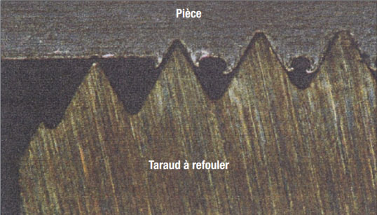 Coupe de taraudage par refoulement